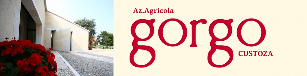 Gorgo