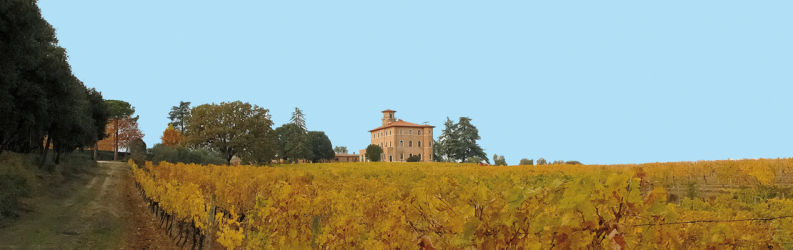 Poggio alla Sala
