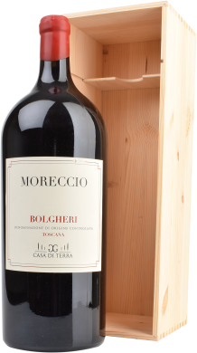 2022 MORECCHIO 6 ltr. Bolgheri Rosso D.O.C. 