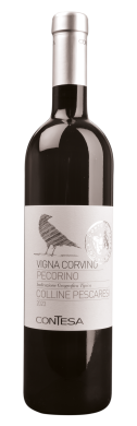 2025 PECORINO Colline Pescaresi I.G.T. Linea Vigna Corvino 
