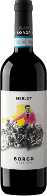 2025 MERLOT delle Venezie D.O.C. 