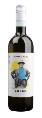 2024 PINOT GRIGIO delle Venezie D.O.C. 