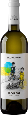 2024 SAUVIGNON BLANC Trevenezie IGT 