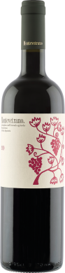 2021 MONTEVETRANO Rosso Colli di Salerno IGT 