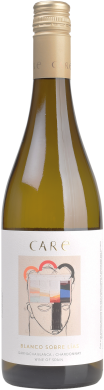 2025 Blanco sobre Lias Cariñena D.O. 