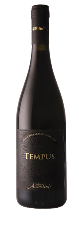 2024 TEMPUS Rosso del Veneto I.G.T. 