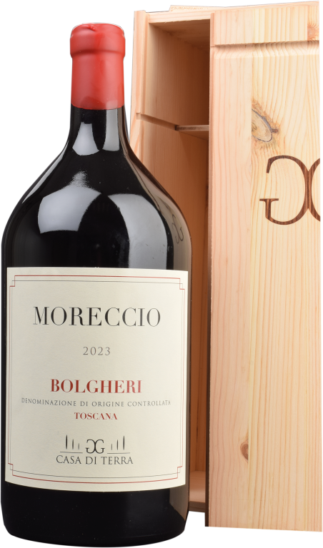 2023 MORECCHIO Doppelmagnum Bolgheri Rosso D.O.C. 