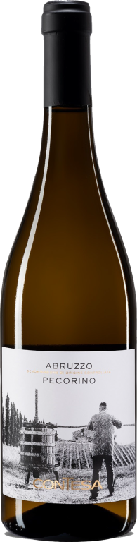 2024 PECORINO Abruzzo D.O.C. Linea Contesa 