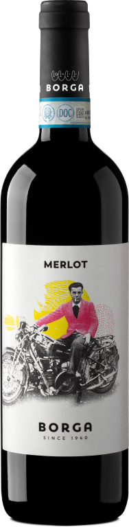 2024 MERLOT delle Venezie D.O.C. 