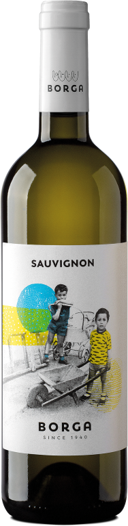 2025 SAUVIGNON BLANC Trevenezie IGT 