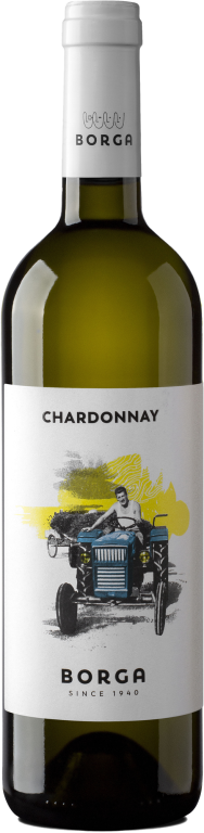 2025 CHARDONNAY Venezia D.O.C. 
