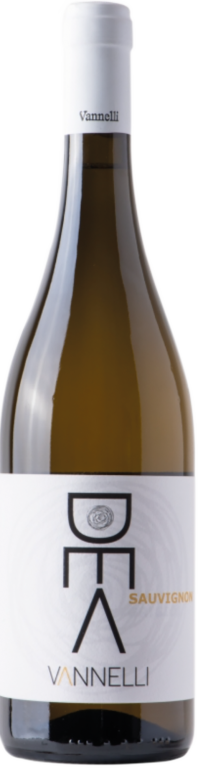 2024 Sauvignon Lazio I.G.T. 