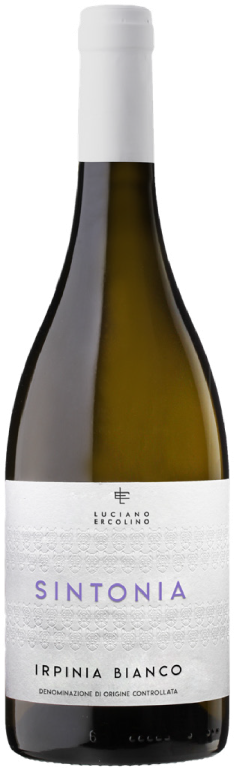 2025 SINTONIA Irpina Bianco DOC 