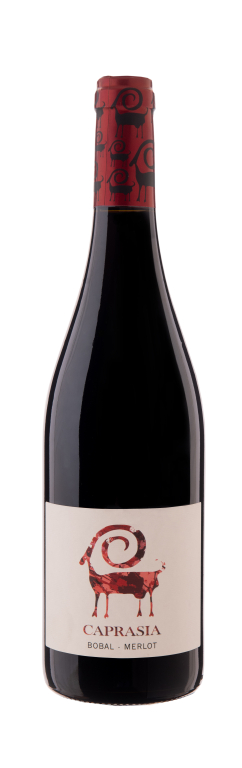 2023 CAPRASIA ROBLE (Bobal/Merlot) Utiel-Requena D.O.P. 